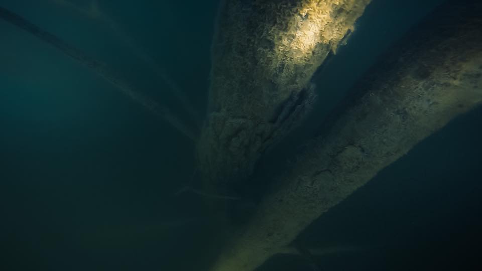 Copacii si stancile vazute de sub apa