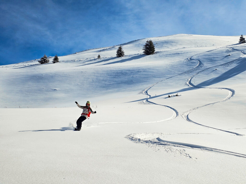 Schi de tura si splitboard pe pudra din muntii Baiului, pe Vf Cazacu, Vf Urechea si pe partiile din Azuga.