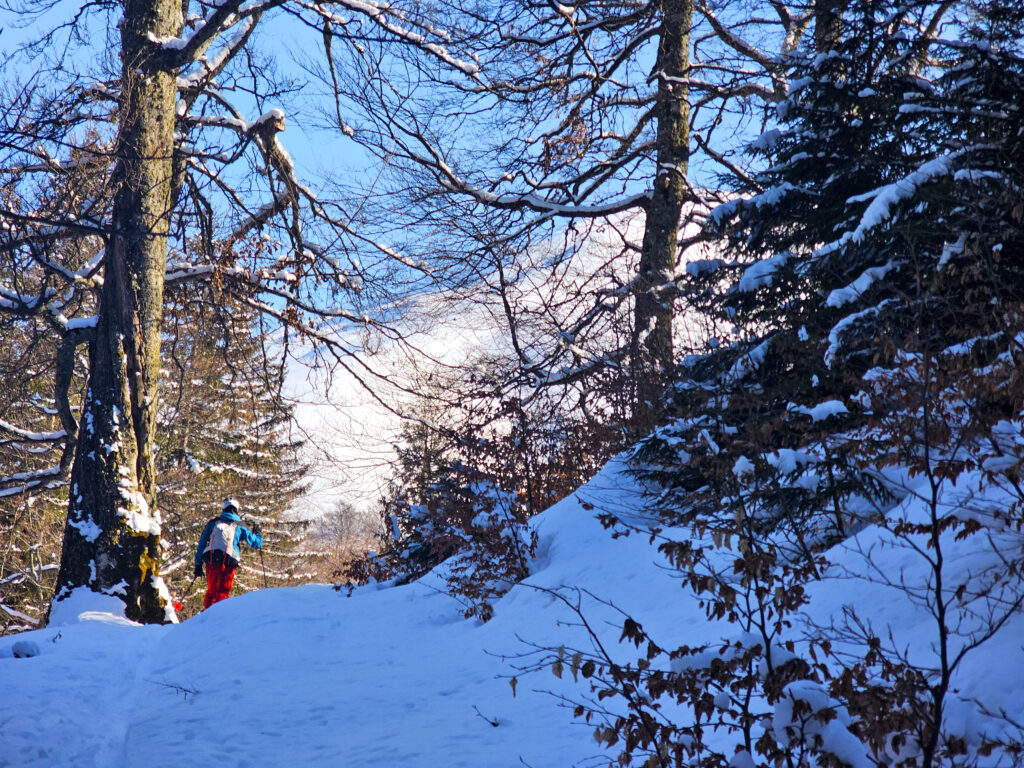 Schi de tura si splitboard pe pudra din muntii Baiului, pe Vf Cazacu, Vf Urechea si pe partiile din Azuga.