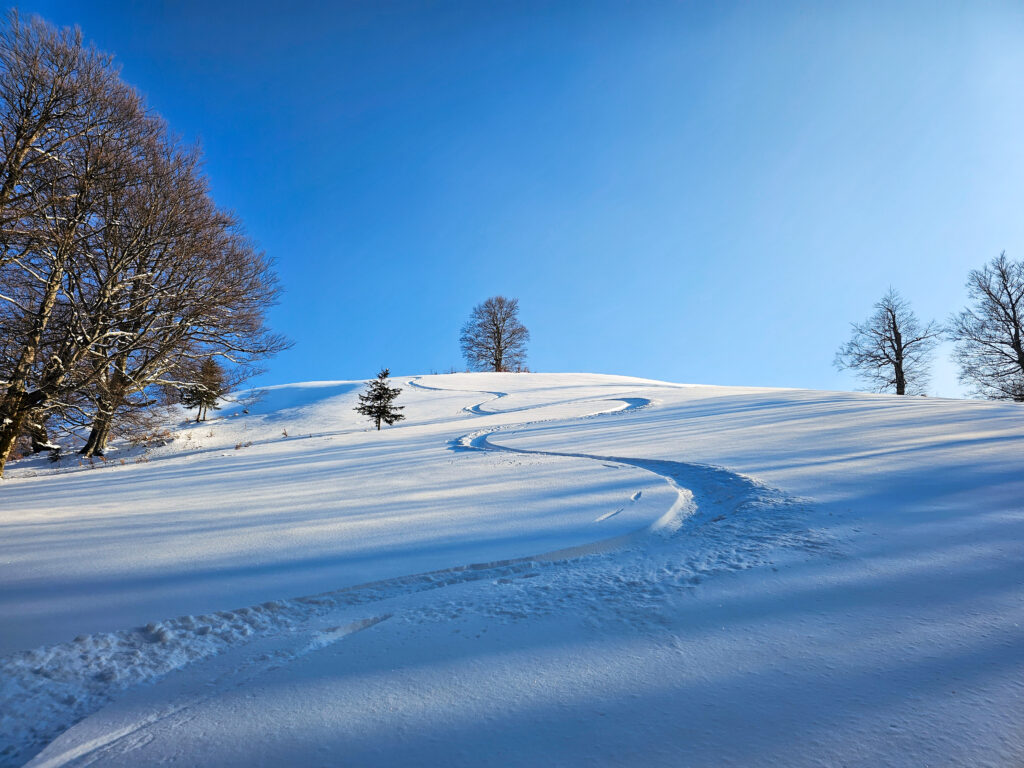 Schi de tura si splitboard pe pudra din muntii Baiului, pe Vf Cazacu, Vf Urechea si pe partiile din Azuga.