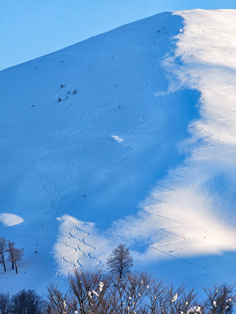 Schi de tura si splitboard pe pudra din muntii Baiului, pe Vf Cazacu, Vf Urechea si pe partiile din Azuga.