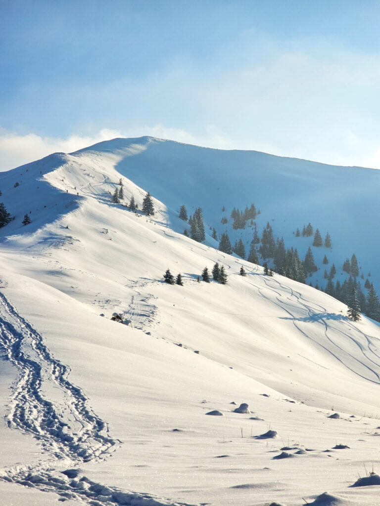 Schi de tura si splitboard pe pudra din muntii Baiului, pe Vf Cazacu, Vf Urechea si pe partiile din Azuga.
