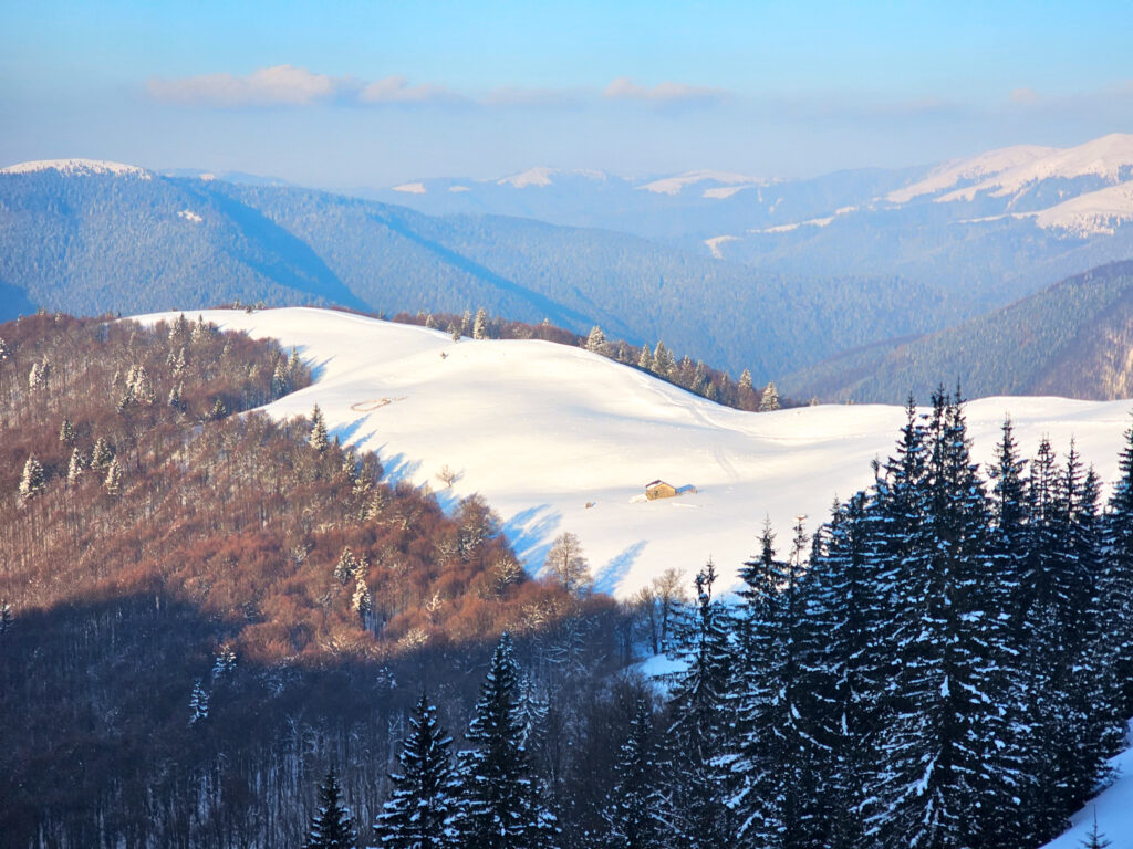 Schi de tura si splitboard pe pudra din muntii Baiului, pe Vf Cazacu, Vf Urechea si pe partiile din Azuga.