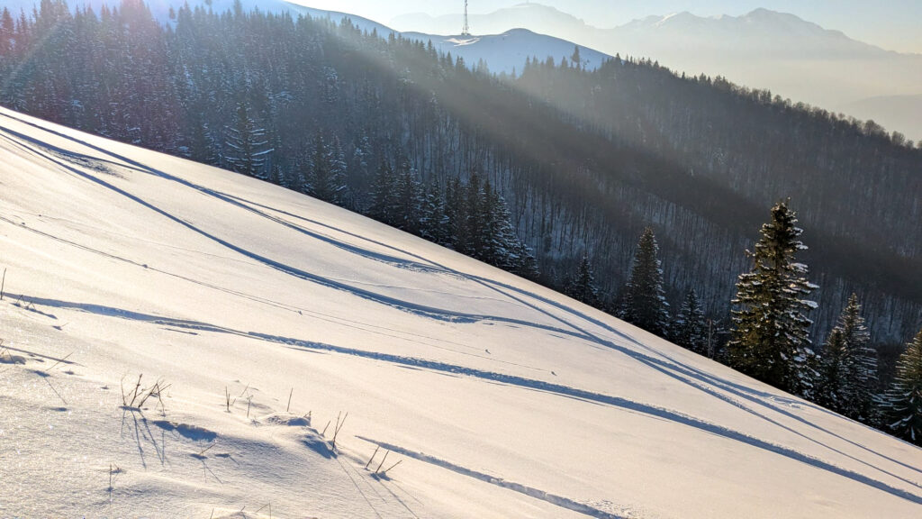 Schi de tura si splitboard pe pudra din muntii Baiului, pe Vf Cazacu, Vf Urechea si pe partiile din Azuga.