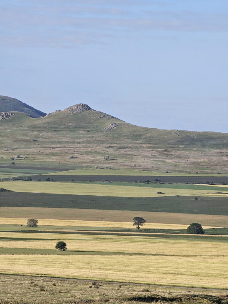 First ride - Cube Stereo Hybrid One77 - Macin Enduro MTB