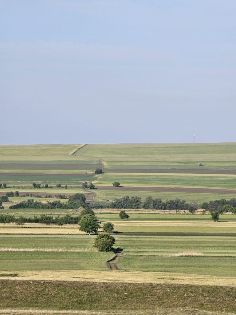 First ride - Cube Stereo Hybrid One77 - Macin Enduro MTB