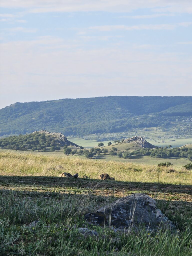First ride - Cube Stereo Hybrid One77 - Macin Enduro MTB