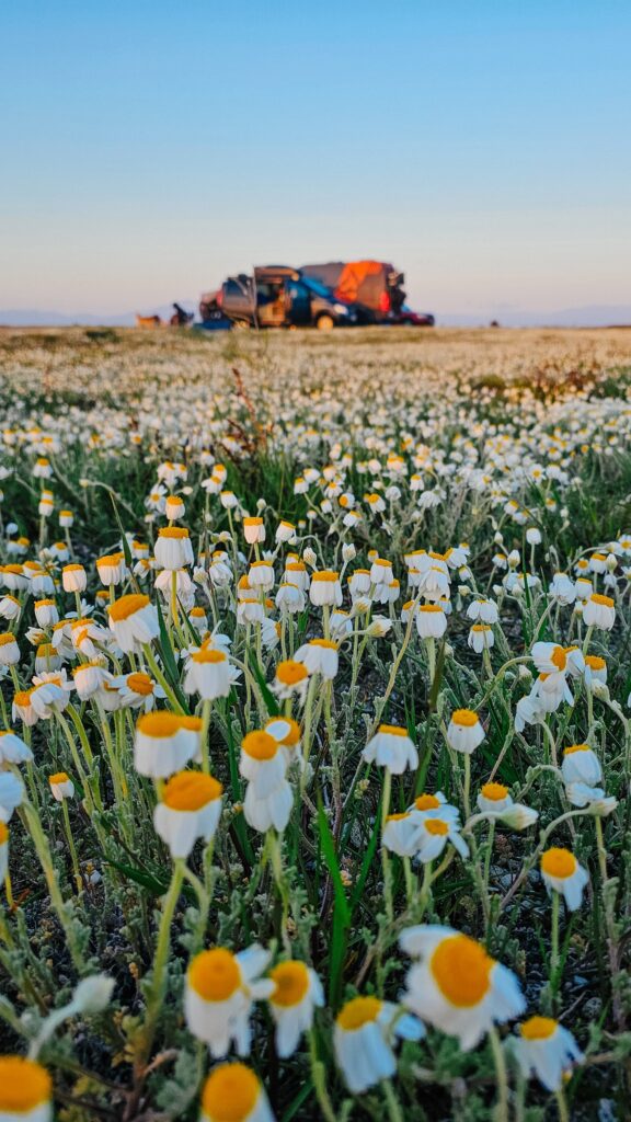 2025 Greek eMTB Odyssey Day 2: Thermi Trails