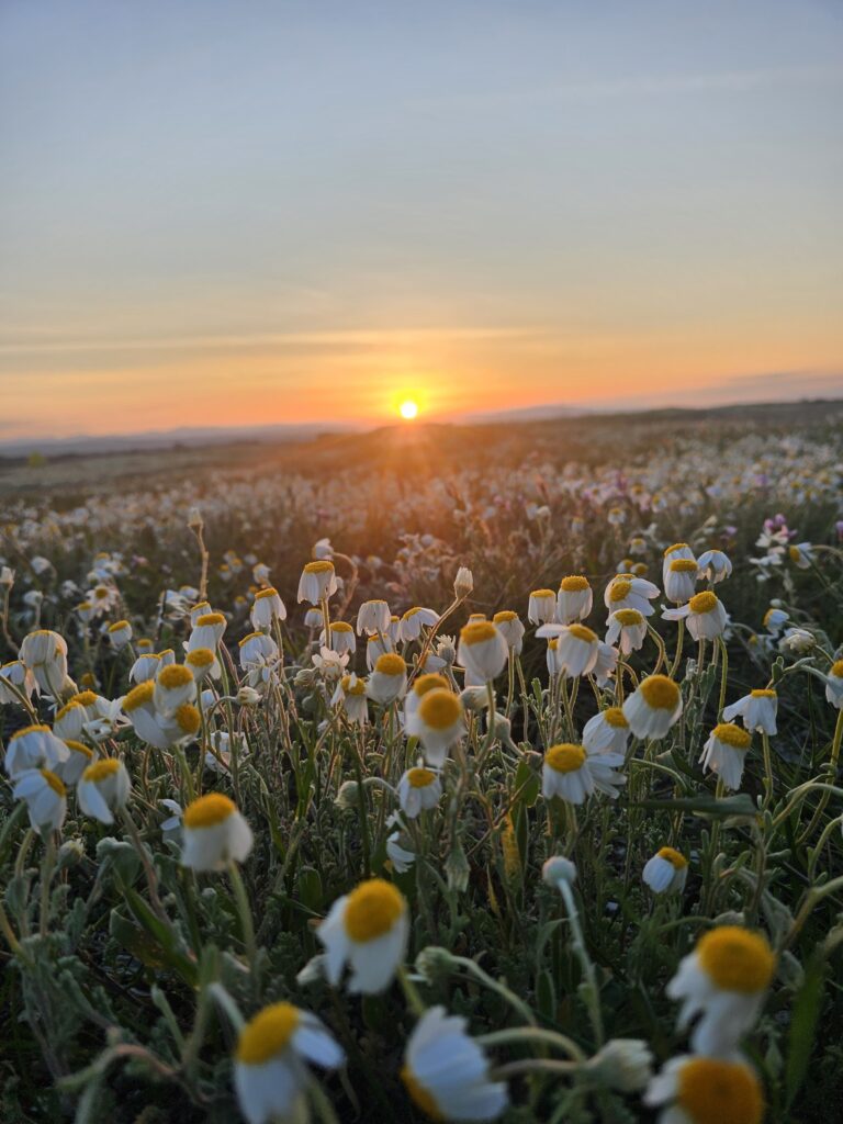 2025 Greek eMTB Odyssey Day 2: Thermi Trails