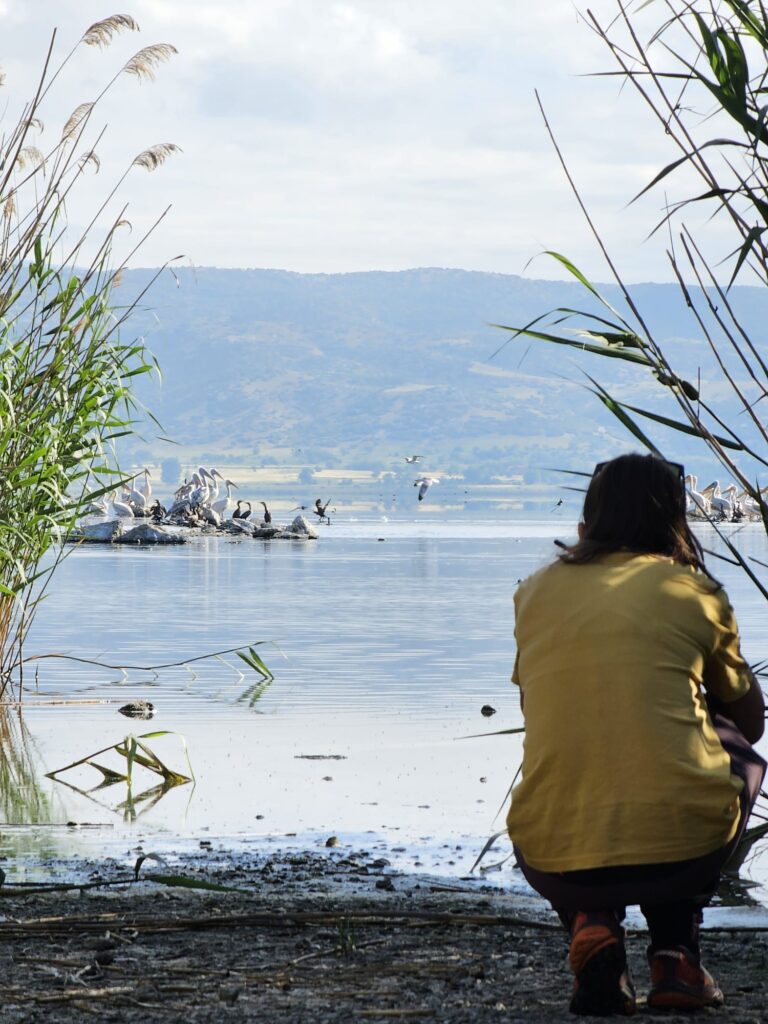 2025 Greek eMTB Odyssey Day 2: Thermi Trails