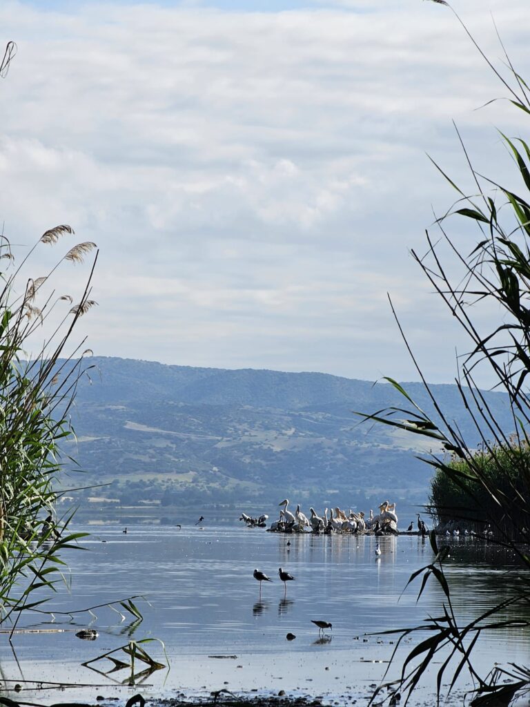 2025 Greek eMTB Odyssey Day 2: Thermi Trails