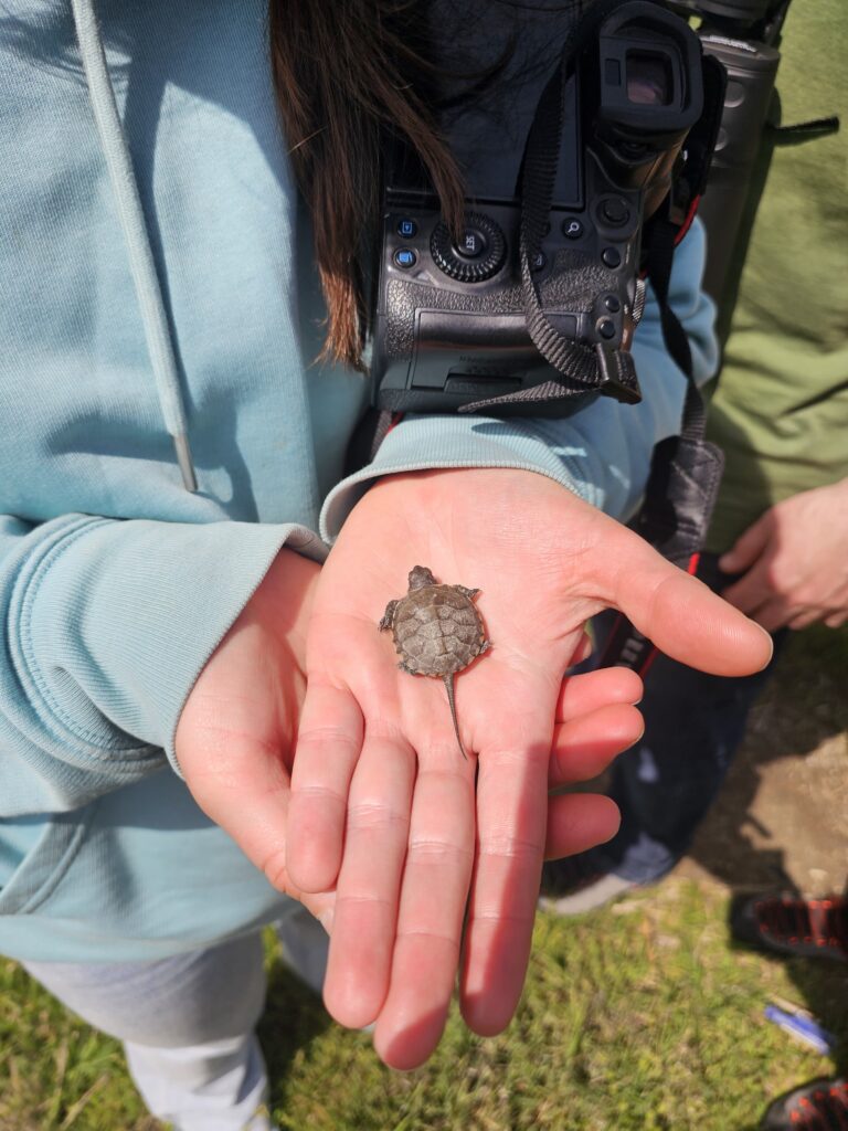 2025 Greek eMTB Odyssey, Day 4: Hotlaps in Oraikastro