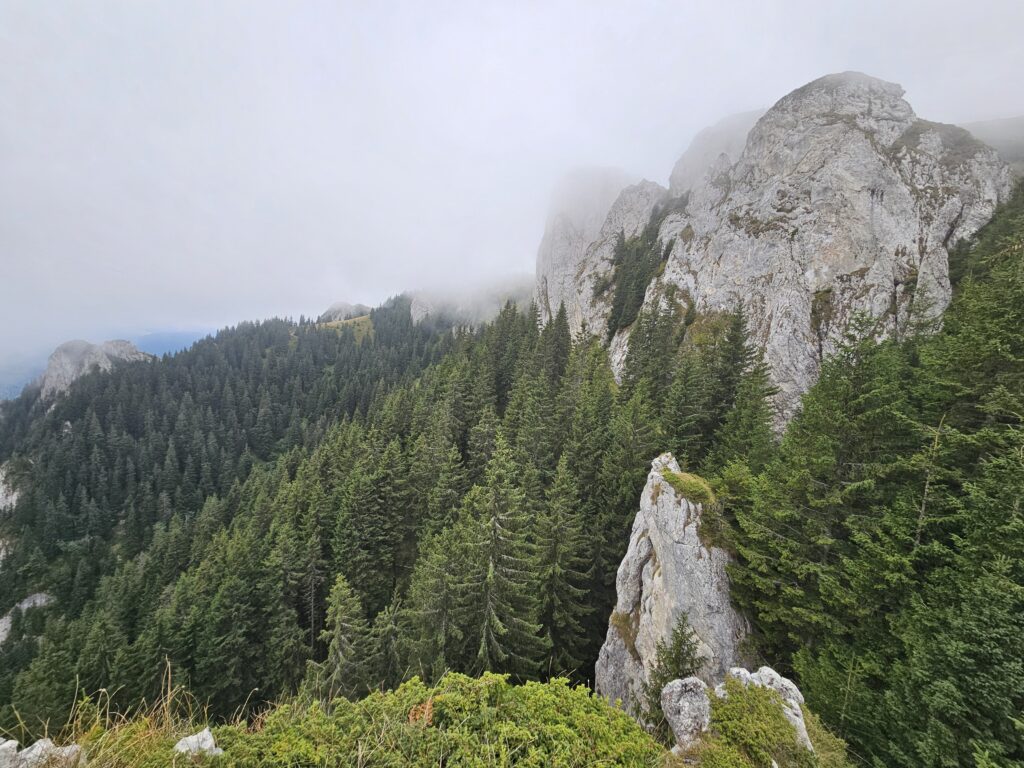 EMTB Epic! 3 cabane - 1 zi: Azuga, Susai, Piatra Mare