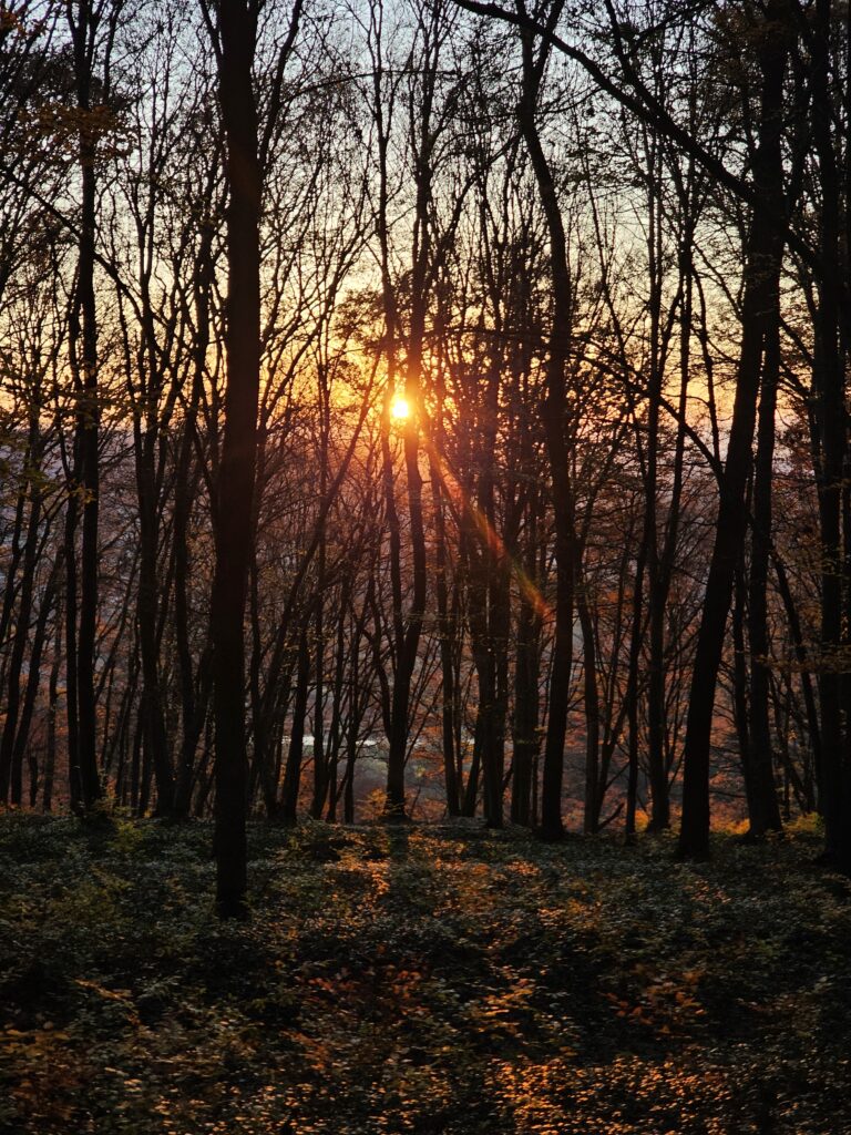 Sighisoara EMTB Trails: Weekend de Halloween pe Via Transilvanica