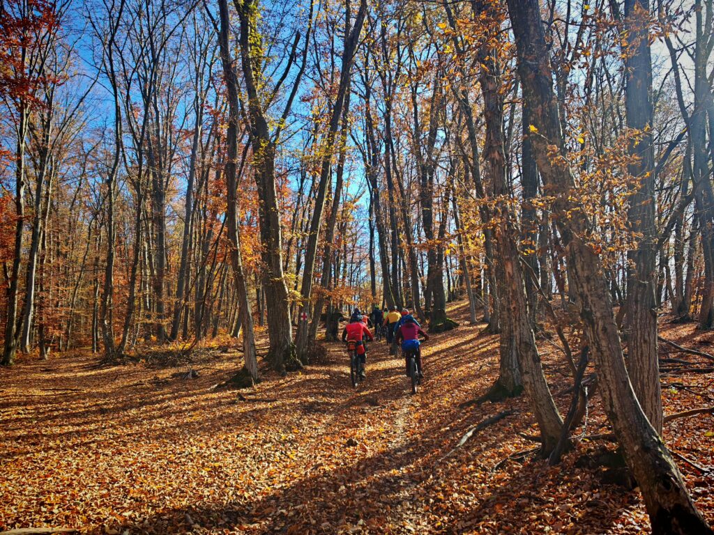 Sighisoara EMTB Trails: Weekend de Halloween pe Via Transilvanica