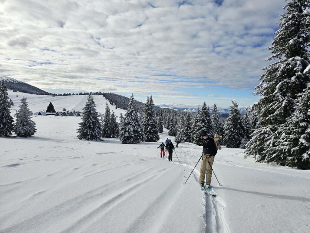 Tabara 2026 de shi de tura si freeride ce a avut loc in muntii Sureanu si langa domeniul schiabil Sureanu, in conditii memorabile.