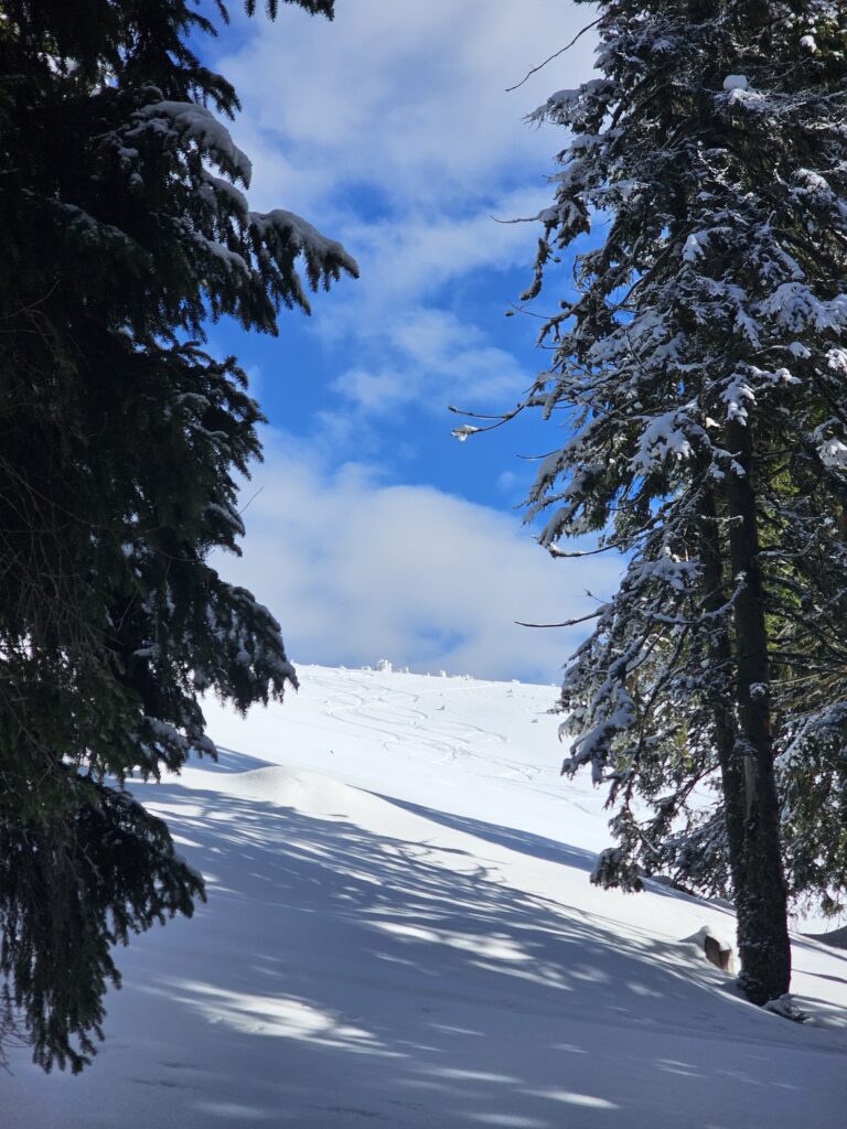 Tabara 2026 de shi de tura si freeride ce a avut loc in muntii Sureanu si langa domeniul schiabil Sureanu, in conditii memorabile.