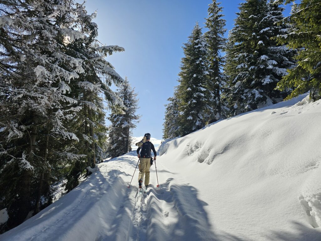 Tabara 2026 de shi de tura si freeride ce a avut loc in muntii Sureanu si langa domeniul schiabil Sureanu, in conditii memorabile.