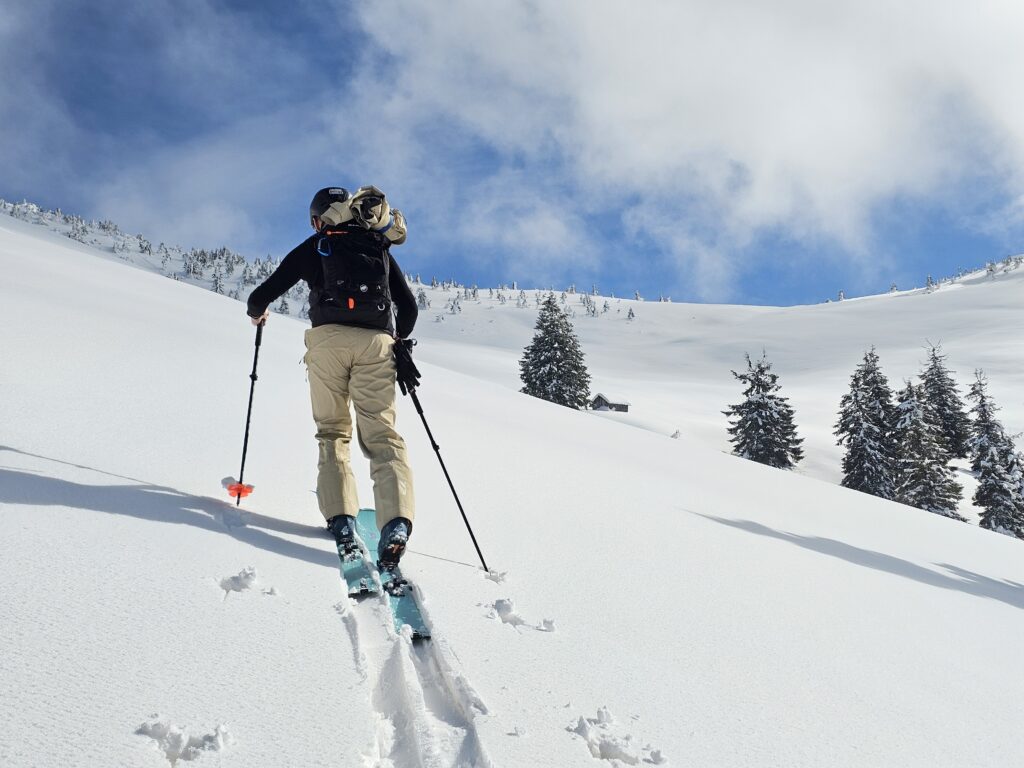 Tabara 2026 de shi de tura si freeride ce a avut loc in muntii Sureanu si langa domeniul schiabil Sureanu, in conditii memorabile.