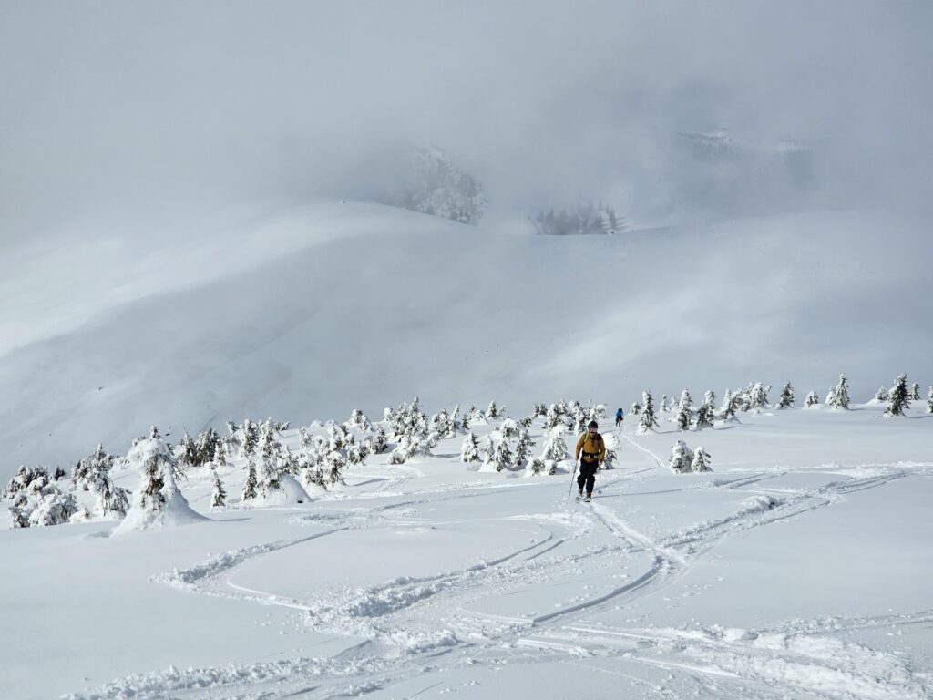 Tabara 2026 de shi de tura si freeride ce a avut loc in muntii Sureanu si langa domeniul schiabil Sureanu, in conditii memorabile.