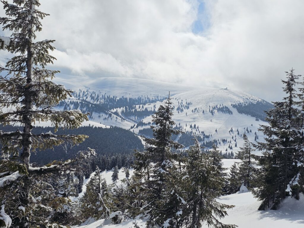 Tabara 2026 de shi de tura si freeride ce a avut loc in muntii Sureanu si langa domeniul schiabil Sureanu, in conditii memorabile.