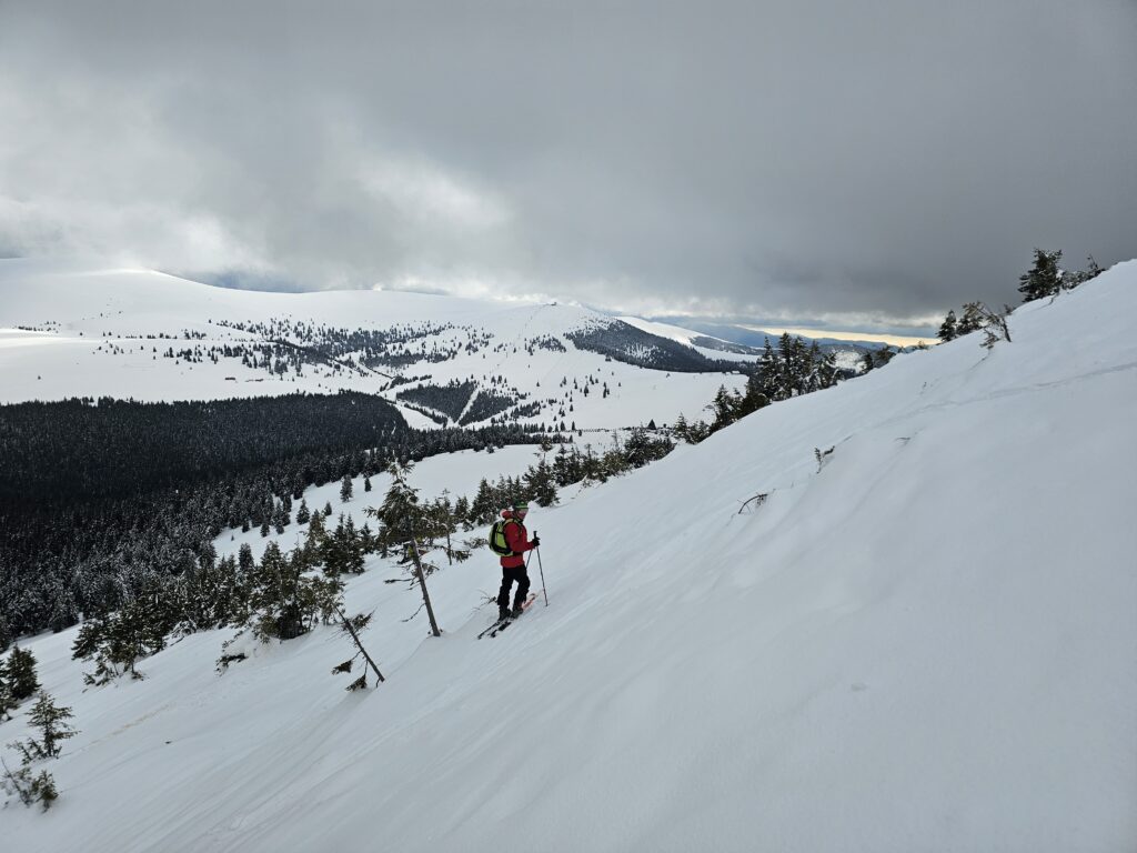 Tabara 2026 de shi de tura si freeride ce a avut loc in muntii Sureanu si langa domeniul schiabil Sureanu, in conditii memorabile.